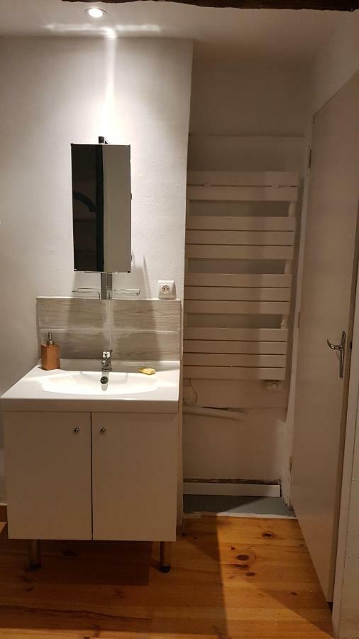 Appartement Avec Cour ★ Spacieux ★ Hyper Centre Castres  Dış mekan fotoğraf