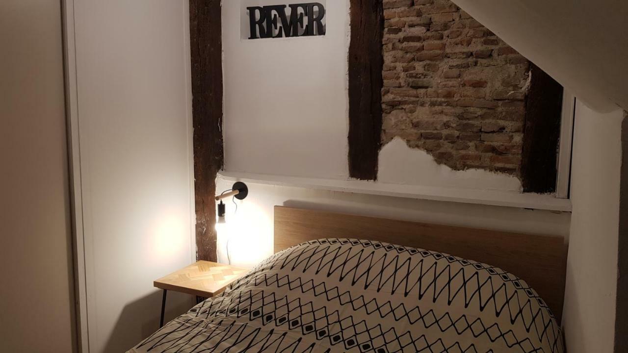Appartement Avec Cour ★ Spacieux ★ Hyper Centre Castres  Dış mekan fotoğraf